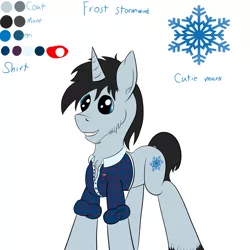 Size: 4000x4000 | Tagged: safe, artist:frostyb, derpibooru import, oc, oc:frost stormwind, unofficial characters only, pony, clothes, cute, male, reference sheet, stallion