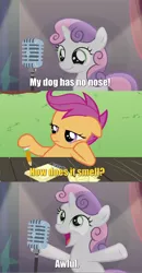 Size: 870x1677 | Tagged: safe, derpibooru import, edit, edited screencap, screencap, scootaloo, sweetie belle, pegasus, pony, unicorn, bloom and gloom, bad sweetie belle joke, caption, curtains, duo, female, filly, foal, hat, image macro, meme, microphone, monty python, notepad, pencil, stage