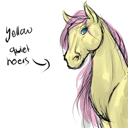 Size: 4000x4000 | Tagged: cute, fluttershy, hoers, realistic, safe, shyabetes, sketch, solo, yellowquiet