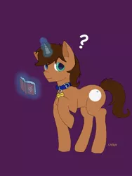 Size: 768x1024 | Tagged: safe, artist:cu/t/e, derpibooru import, oc, oc:cue ball, unofficial characters only, pony, unicorn, collar, heterochromia, male, pet, solo, stallion