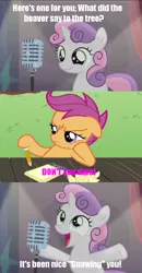 Size: 532x1024 | Tagged: bad sweetie belle joke, bloom and gloom, bonzi buddy, image macro, meme, safe, scootaloo, sweetie belle, vinesauce