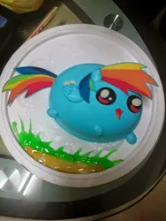 Size: 384x512 | Tagged: blob, blob pony, cake, chubbie, derpibooru import, irl, photo, rainbow dash, ranbo das, safe