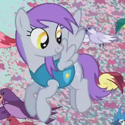 Size: 420x420 | Tagged: safe, derpibooru import, screencap, flutter doo, bird, pegasus, pony, winter wrap up, background pony, clothes, cropped, female, flock, flying, looking back, mare, migration, purple mane, recolor, smiling, solo, songbird, spread wings, vest, weather team, winter wrap up song (reprise), winter wrap up vest