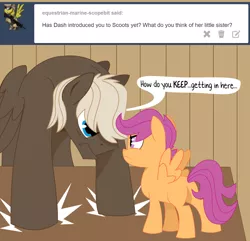 Size: 1280x1232 | Tagged: angry, artist:dbkit, ask, derpibooru import, dumbbell, safe, scootaloo, tumblr