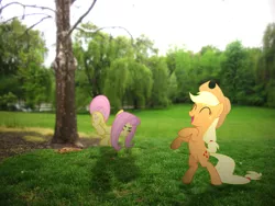 Size: 3968x2976 | Tagged: applejack, artist:hachaosagent, artist:lightningtumble, artist:patec, bucking, cheering, derpibooru import, fluttershy, irl, photo, ponies in real life, safe, shadow, tree, upright, vector