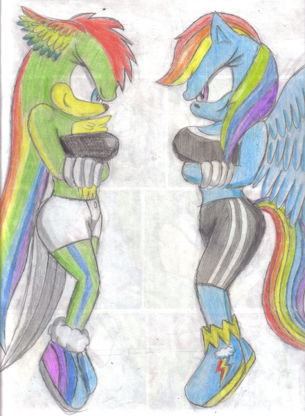 Size: 2541x3467 | Tagged: anthro, artist:jcmx, breasts, busty rainbow dash, derpibooru import, female, oc, oc:niji, plantigrade anthro, rainbow dash, safe, sonicified, sonic the hedgehog (series), traditional art