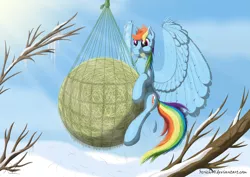 Size: 1920x1358 | Tagged: artist:bcrich40, behaving like a bird, derpibooru import, eating, feather, fluffy, hay, hay bale, horses doing bird things, horses doing horse things, hug, net, pegasus feeder, puffy cheeks, rainbow dash, safe, smiling, solo, spread wings