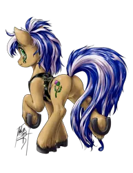 Size: 772x1000 | Tagged: safe, artist:aphexangel, derpibooru import, oc, unofficial characters only, earth pony, pony, featureless crotch, horseshoes, looking back, plot, raised hoof, solo, tattoo, unshorn fetlocks