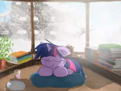 Size: 2048x1536 | Tagged: artist:fuzzyfox11, book, derpibooru import, indoors, plate, safe, sleeping, snow, snowfall, twilight sparkle