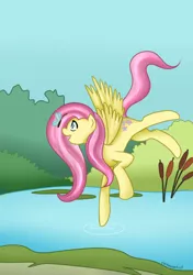 Size: 419x595 | Tagged: artist:cartoonartist, artist:senseijiufu, butterfly, derpibooru import, fluttershy, safe, solo