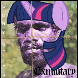 Size: 1000x1000 | Tagged: album cover, crossover, death grips, derpibooru import, exmilitary, mc ride, safe, solo, twilight sparkle, wat, youtube link