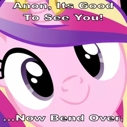 Size: 4800x4800 | Tagged: absurd resolution, bend over, caption, close-up, derpibooru import, face, face of mercy, hi anon, image macro, implied femdom, looking at you, meme, oc, oc:anon, princess cadance, smiling, suggestive