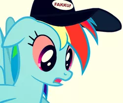 Size: 730x612 | Tagged: artist:fillylover, cap, derpibooru import, fakku, hat, high, logo, rainbow dash, request, safe, solo