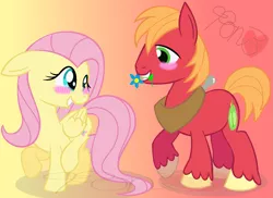 Size: 1349x982 | Tagged: safe, artist:mylittlepon3lov3, derpibooru import, big macintosh, fluttershy, earth pony, pony, blushing, cute, female, flower, fluttermac, macabetes, male, mouth hold, shipping, shyabetes, stallion, straight