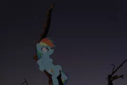 Size: 3872x2592 | Tagged: artist:bushinio, artist:roygbivdash, derpibooru import, irl, photo, ponies in real life, rainbow dash, safe, smiling, solo, stargazing, tree limb, vector