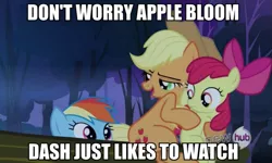 Size: 835x500 | Tagged: animation error, apple bloom, applejack, caption, derpibooru import, edit, edited screencap, image macro, implied foalcon, implied incest, implied voyeurism, meme, rainbow dash, screencap, suggestive