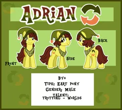 Size: 1024x924 | Tagged: safe, artist:xwhitedreamsx, derpibooru import, oc, oc:adrian, unofficial characters only, earth pony, pony, male, reference sheet, stallion