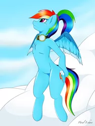 Size: 2448x3264 | Tagged: safe, artist:howl echoes, derpibooru import, rainbow dash, pegasus, pony, semi-anthro, cloud, cloudy, goggles, solo