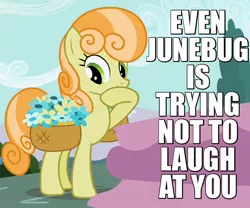 Size: 720x600 | Tagged: amused, basket, caption, derpibooru import, edit, edited screencap, flower, fountain, image macro, junebug, raised hoof, reaction image, safe, screencap, secret of my excess, solo