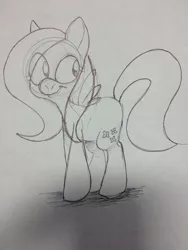 Size: 960x1280 | Tagged: artist:gopherfrog, derpibooru import, doodle, fluttershy, monochrome, pencil, pencil drawing, safe, sketch, solo, traditional art