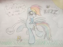 Size: 2068x1534 | Tagged: bee, cloud, cute, derpibooru import, flower, rainbow dash, safe, sun, traditional art