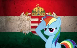 Size: 2560x1600 | Tagged: artist:szinthom, derpibooru import, flag, hungarian, hungary, rainbow dash, rainbow dash salutes, safe, salute, solo