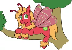 Size: 1195x830 | Tagged: antennae, artist:jargon scott, big macinmoth, big macintosh, cute, derpibooru import, macareina, mothareina, mothpony, original species, rule 63, safe, solo, species swap, too many macareinas, tree