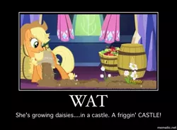 Size: 650x475 | Tagged: safe, derpibooru import, edit, screencap, applejack, earth pony, pony, castle sweet castle, castle, earth pony magic, flower, meme, mind blown, solo, wat