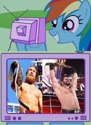 Size: 563x771 | Tagged: championship belt, daniel bryan, derpibooru import, exploitable meme, intercontinental championship, meme, obligatory pony, rainbow dash, safe, seth rollins, tv meme, wrestlemania, wrestlemania 31, wwe, wwe world heavyweight championship