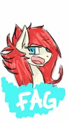 Size: 540x960 | Tagged: artist:chromadraws, bust, color, derpibooru import, oc, oc:bailey, safe, solo, unofficial characters only