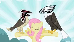 Size: 1280x720 | Tagged: american football, atlanta falcons, derpibooru import, eagle, edit, falcon, fluttershy, nfl, philadelphia eagles, safe, solo