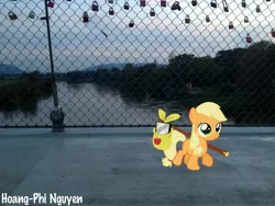 Size: 3264x2448 | Tagged: applejack, artist:phi1997, artist:tyto-ovo, bridge, derpibooru import, filly applejack, irl, padlock, photo, ponies in real life, river, safe, signature, solo, stick, vector