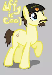 Size: 456x660 | Tagged: safe, artist:fireface82, derpibooru import, oc, oc:zacharias, unofficial characters only, earth pony, pony, beanie, beard, hat, luffyiscool, solo, the offspring, youtuber