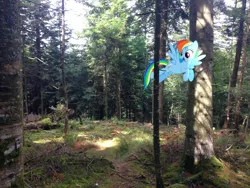 Size: 3264x2448 | Tagged: artist:makenshi179, artist:xpesifeindx, derpibooru import, flying, forest, irl, photo, ponies in real life, rainbow dash, safe, solo, sun, vector