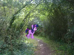 Size: 2592x1944 | Tagged: artist:90sigma, artist:makenshi179, derpibooru import, forest, irl, pathway, photo, ponies in real life, safe, solo, twilight sparkle, vector