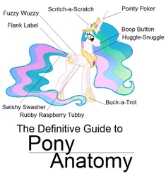 Size: 761x811 | Tagged: anatomy, anatomy guide, artist:pen-mightier, derpibooru import, fanfic art, princess celestia, safe, simple background, solo, text, the definitive guide to pony anatomy, white background