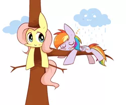 Size: 1200x1000 | Tagged: :3, artist:joycall6, derpibooru import, fluttershy, fluttertree, rain, rainbow dash, safe, sleeping, tree costume, zzz