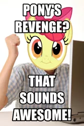 Size: 728x1092 | Tagged: apple bloom, derpibooru import, exploitable meme, first day brony, meme, safe, this will end in tears