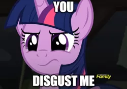Size: 488x344 | Tagged: safe, derpibooru import, screencap, twilight sparkle, twilight sparkle (alicorn), alicorn, pony, the cutie map, caption, disgusted, female, image macro, mare, meme, reaction image, solo