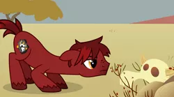 Size: 2772x1543 | Tagged: safe, artist:topas-art, derpibooru import, oc, oc:charred remnant, unofficial characters only, buffalo, earth pony, pony, cow skull, crouching, cutie mark, dead, desert, freckles, male, skull, solo, stallion