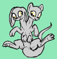 Size: 194x200 | Tagged: artist:darkdoomer, artist needed, conjoined, conjoined twins, cute, derp, derpibooru import, derpy hooves, digital art, floppy ears, iscribble, multiple heads, multiple limbs, oc, on back, original species, paw fetish, paws, safe, simple background, smiling, solo, species swap, spread legs, toes, two heads, wat