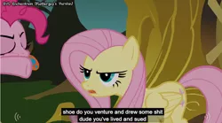 Size: 842x467 | Tagged: derpibooru import, fluttershy, meme, pinkie pie, safe, screencap, vulgar, youtube caption