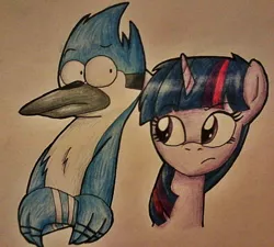 Size: 1023x919 | Tagged: artist:xxsonnythecatxx, derpibooru import, mordecai, regular show, safe, traditional art, twilight sparkle