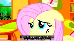 Size: 853x472 | Tagged: safe, derpibooru import, edit, edited screencap, screencap, fluttershy, caption, meme, out of context, youtube caption