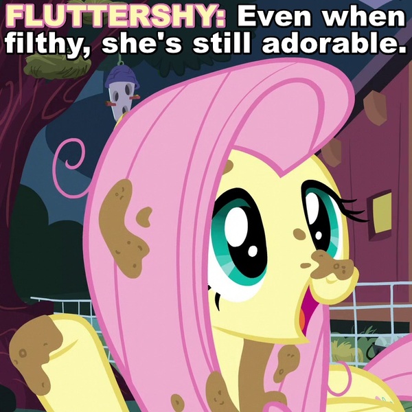 Size: 720x720 | Tagged: caption, castle sweet castle, cute, derpibooru import, dirt, dirty, filthy, fluttershy, hot mess, image macro, mud, open mouth, raised hoof, safe, screencap, smiling, solo