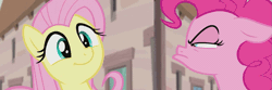 Size: 1855x616 | Tagged: animated, cropped, cute, derpibooru import, edit, edited screencap, flutterbob, fluttershy, frown, head shake, implied dancing, looking at each other, loop, pinkie pie, safe, screencap, shyabetes, smiling, squint, the cutie map, when she doesn't smile