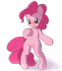 Size: 2000x2300 | Tagged: safe, artist:hidamariru, derpibooru import, pinkie pie, pony, belly button, bipedal, blushing, cute, diapinkes, featureless crotch, open mouth, pixiv, simple background, solo, white background