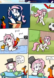 Size: 1280x1853 | Tagged: safe, artist:shieltar, derpibooru import, philomena, princess celestia, alicorn, bird, duck pony, phoenix, pony, comic:birth of equestria, bath, bathtub, bush, cewestia, comic, cup, cute, cutelestia, dialogue, eating, faucet, filly, football, grass, hat, mane, monocle, popcorn, quack, rubber duck, sky, smiling, surprised, table, teapot, top hat, tree, water, wings