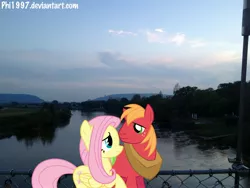 Size: 3264x2448 | Tagged: safe, artist:bobthelurker, artist:phi1997, artist:shelltoon, derpibooru import, big macintosh, fluttershy, earth pony, pony, bridge, cloud, cloudy, fence, fluttermac, irl, male, photo, ponies in real life, reflection, river, shipping, stallion, straight, vector