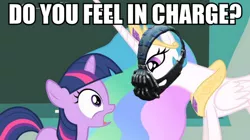 Size: 894x500 | Tagged: bane, crossover, derpibooru import, edit, frown, image macro, meme, open mouth, princess celestia, safe, screencap, the dark knight rises, twilight sparkle, wide eyes